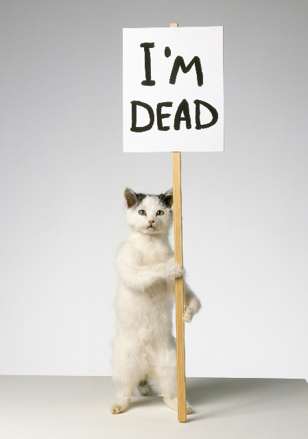 I'm dead - small I'm dead - small